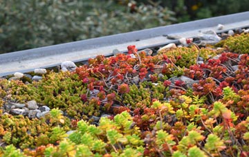 the cost of Dean Cross green roof installation