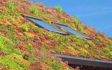 Dean Cross living roof systems