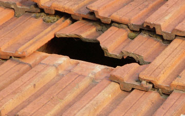 roof repair Dean Cross, Devon